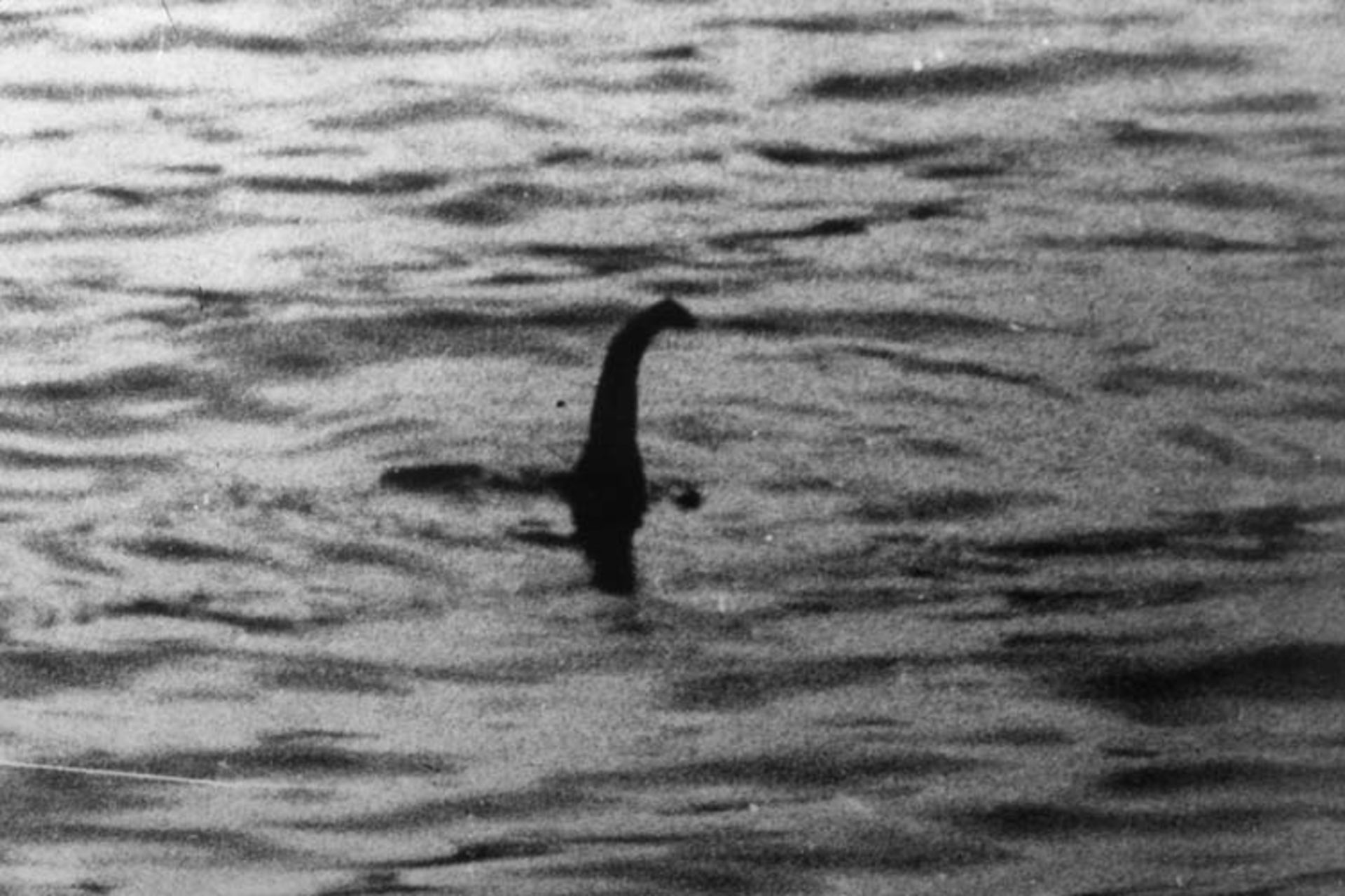 2015-09-loch-ness-monster-1