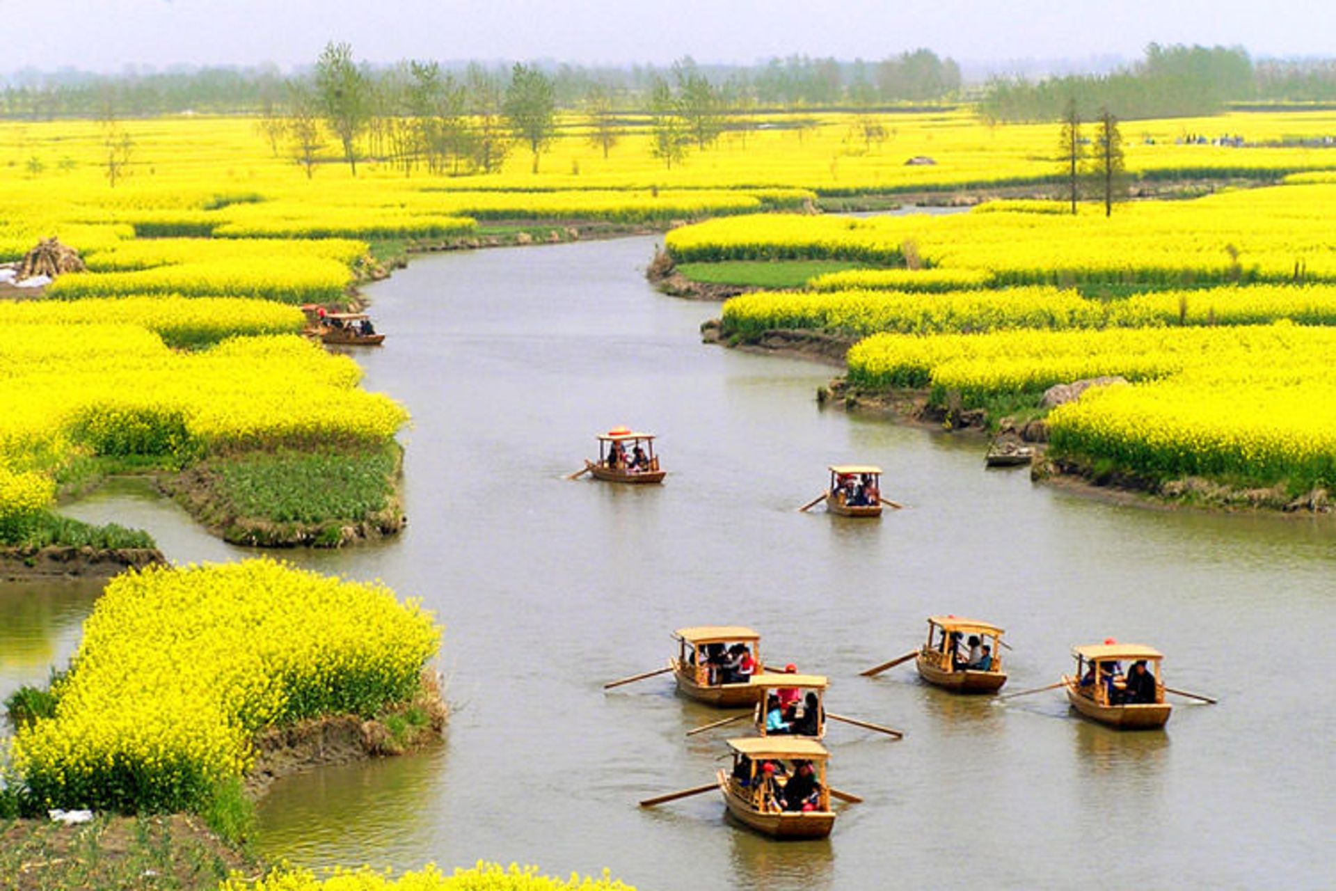 2015-09-luoping-flowers-trip-2