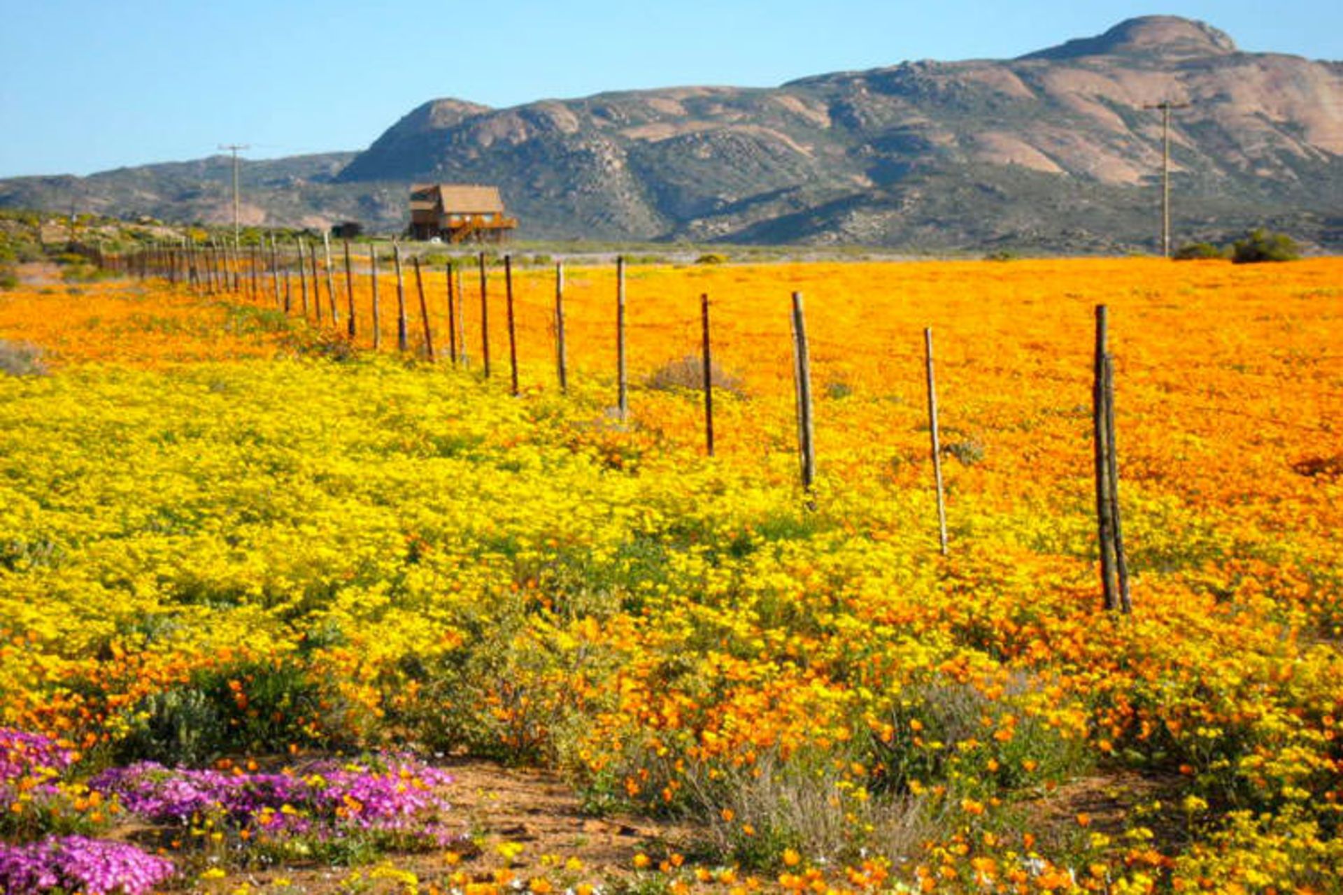 2015-09-namaqualand-south-africa
