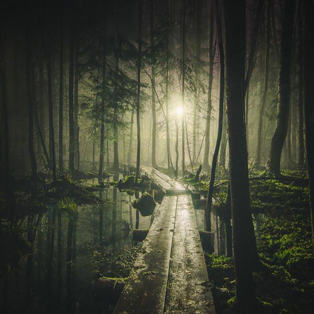 2015-09-night-finland-7