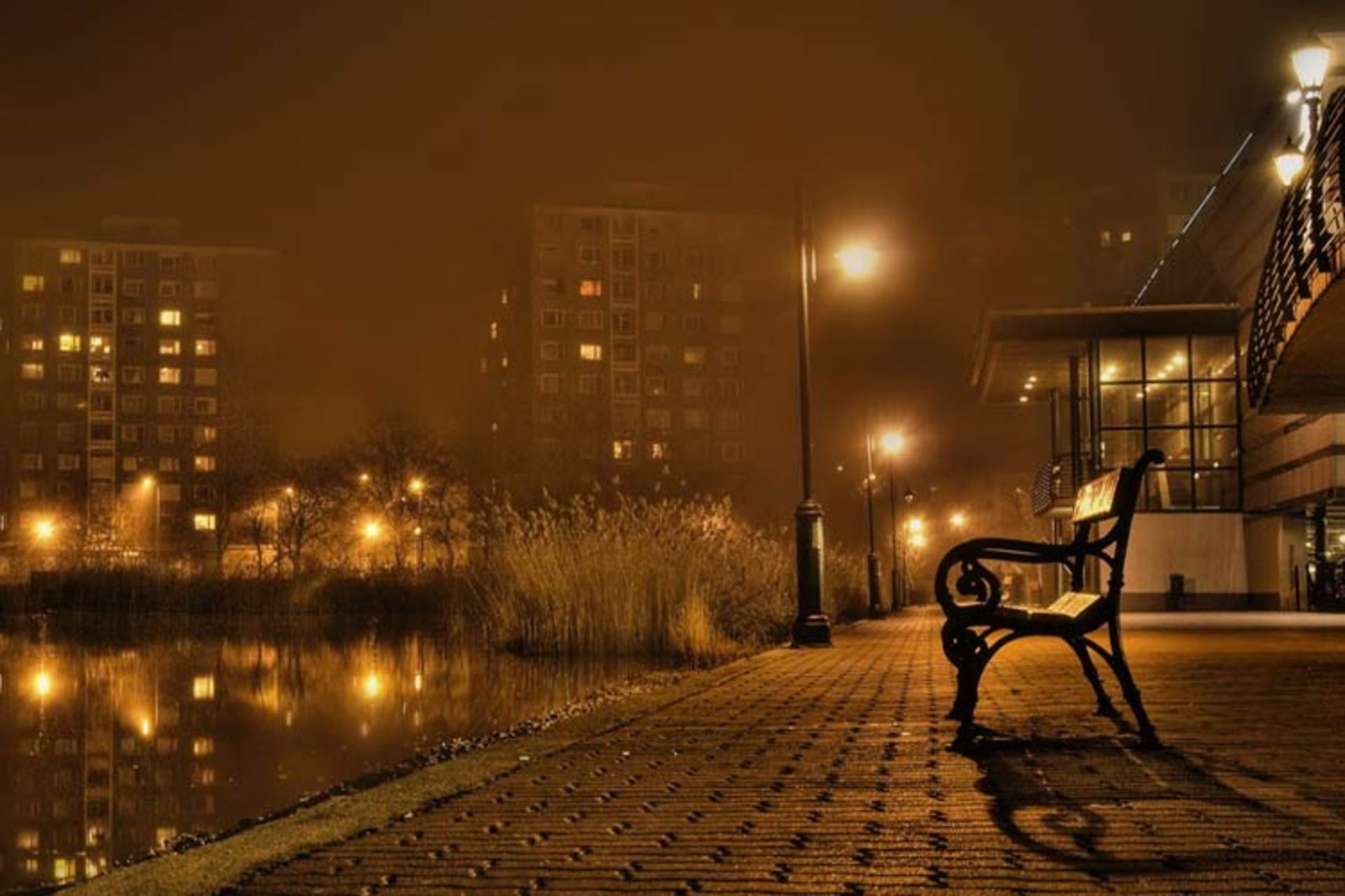 عکس شب