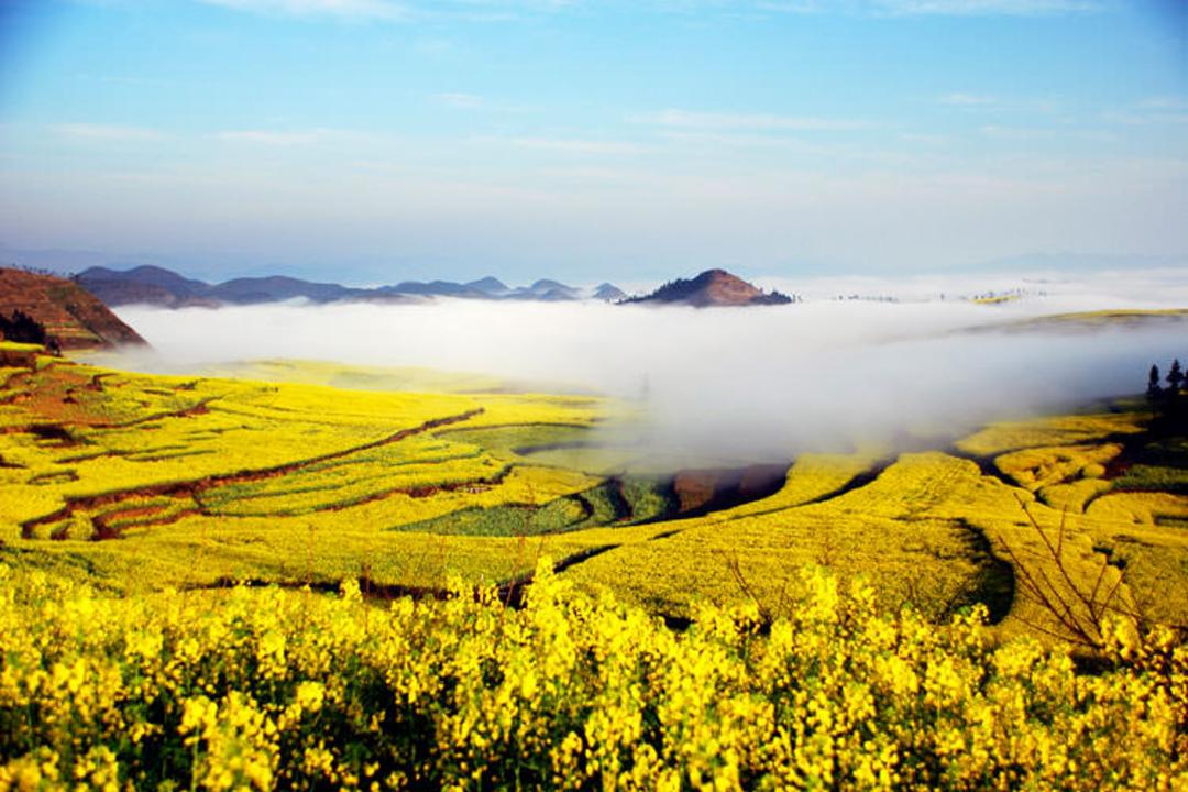 2015-09-ocean-of-flowers-luoping-china-clouds