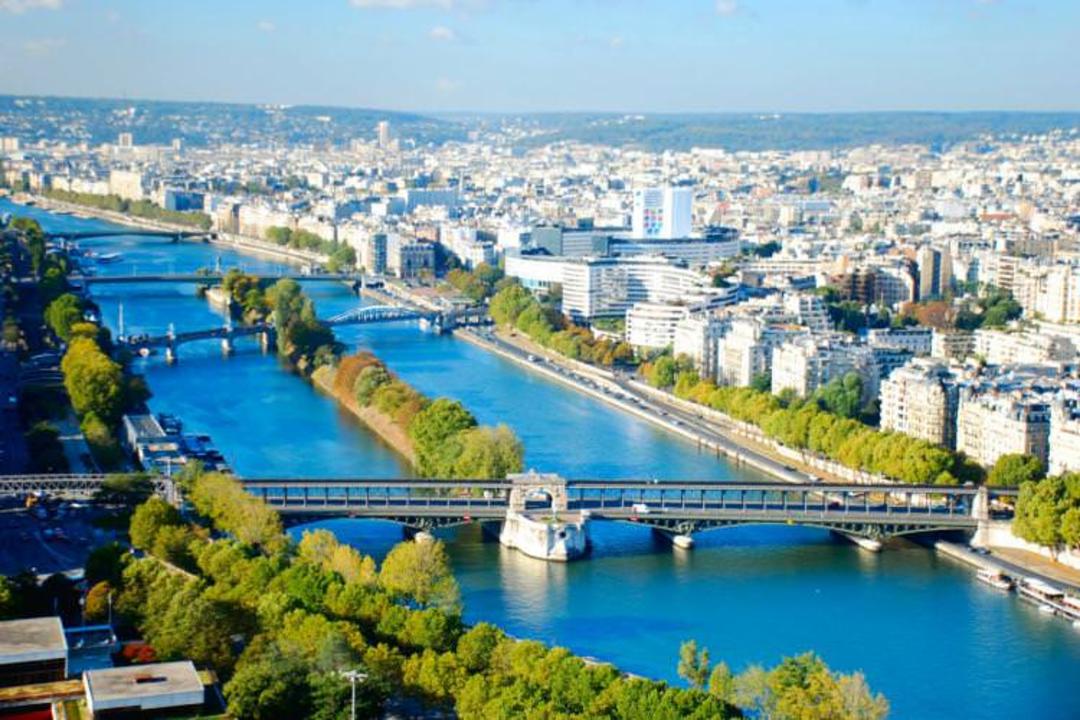 جزیره‌ی قوها (Île aux Cygnes)، فرانسه