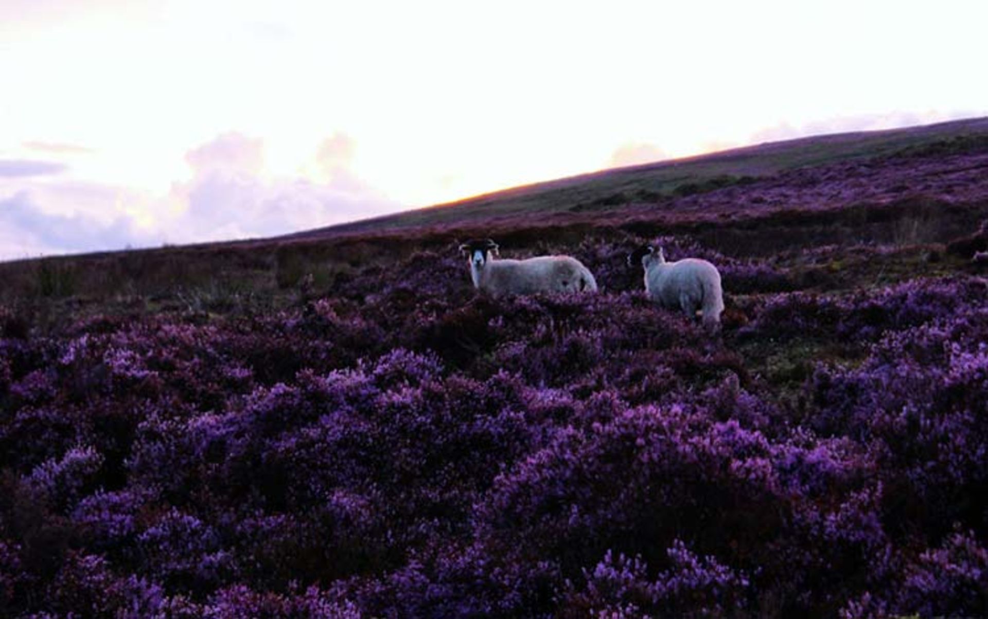 2015-09-peak-district-16