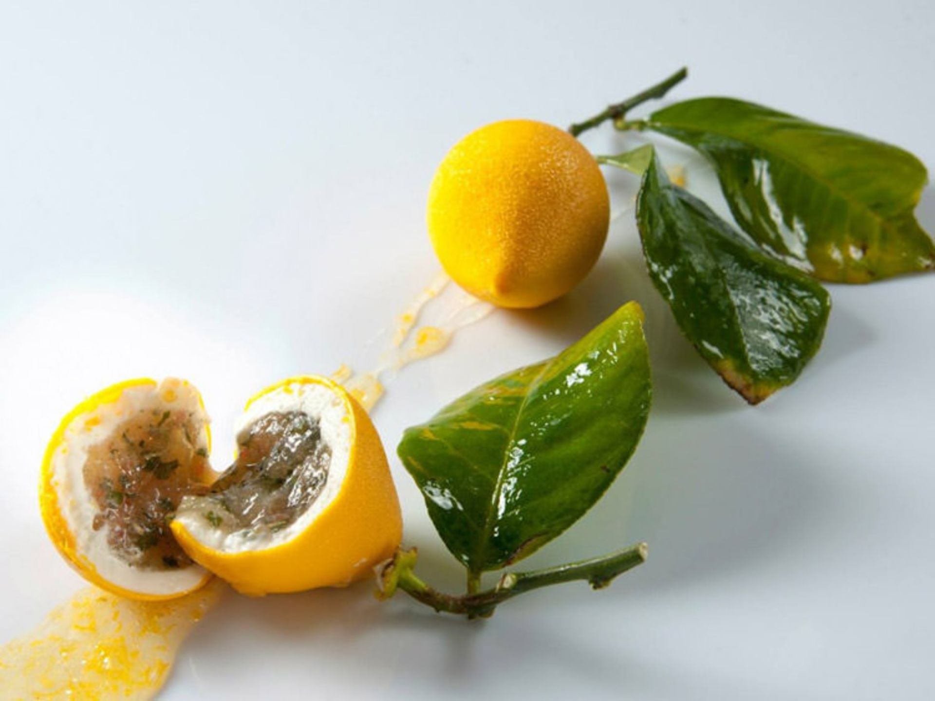 رستوران Le Meurice Alain Ducasse
