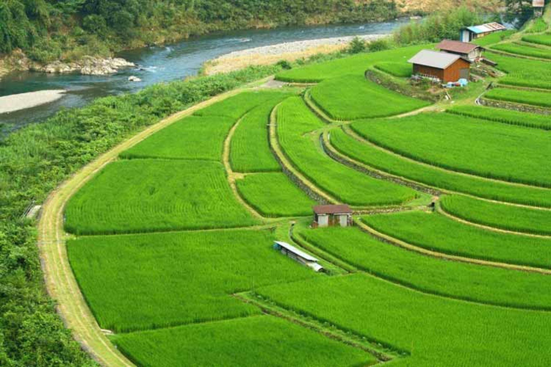 2015-09-rice-terraces-52