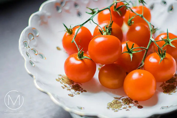 Still life Photography
