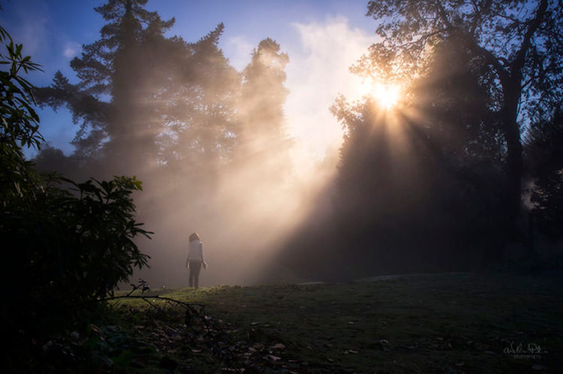 Rotorua، نیوزیلند
