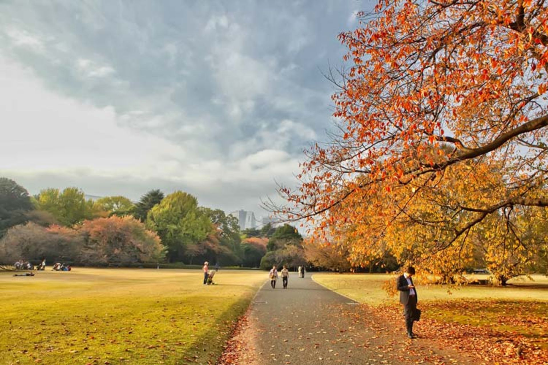 2015-09-tokyo