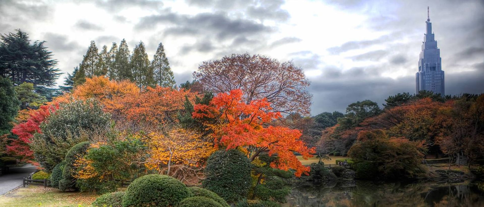 2015-09-tokyo-fall