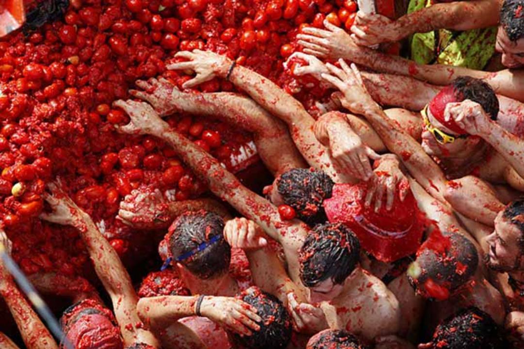 کامیون های حمل گوجه فرنگی