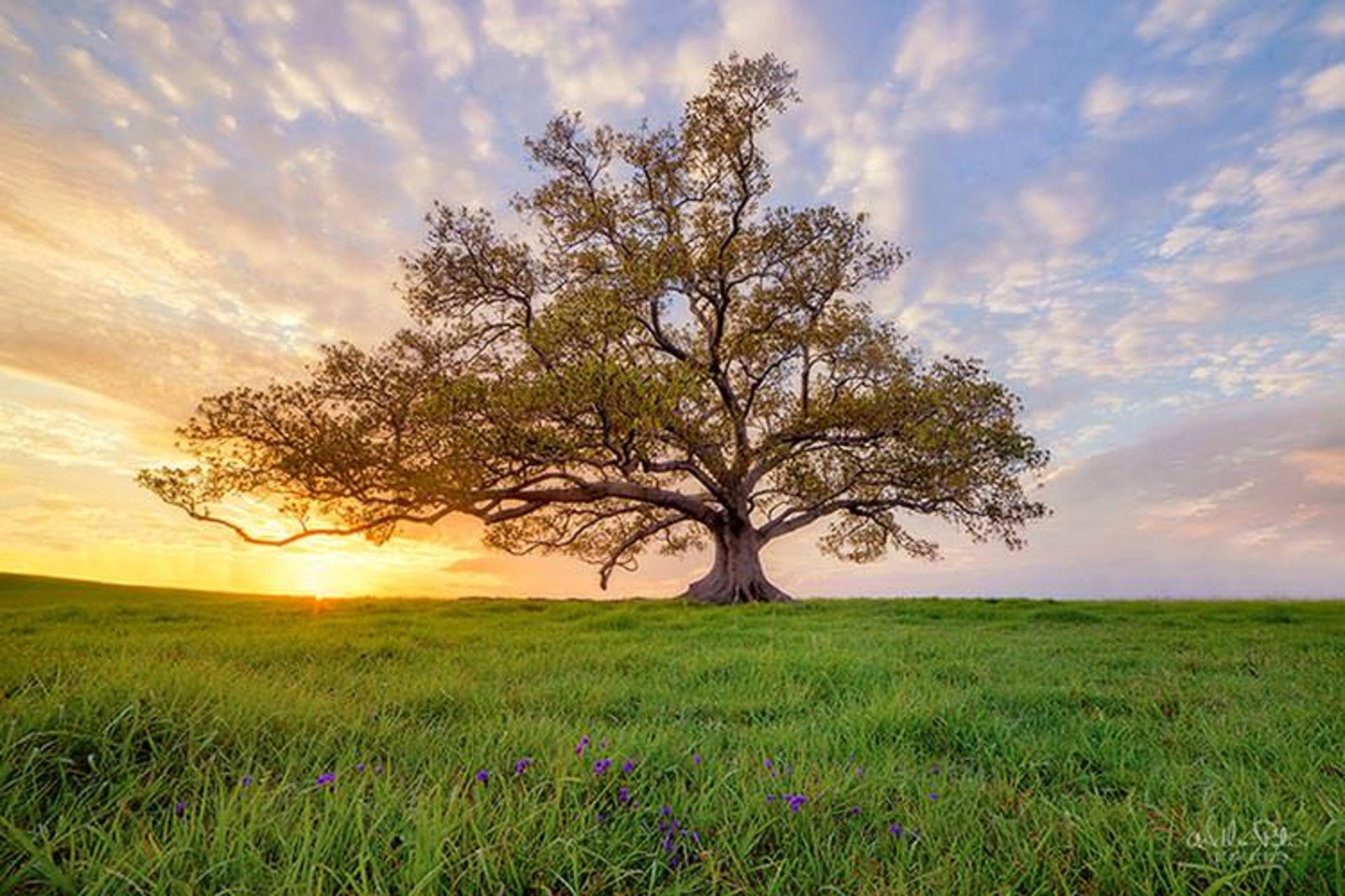 2015-09-travel-nature-photography-depression-rescue-william-patino-5