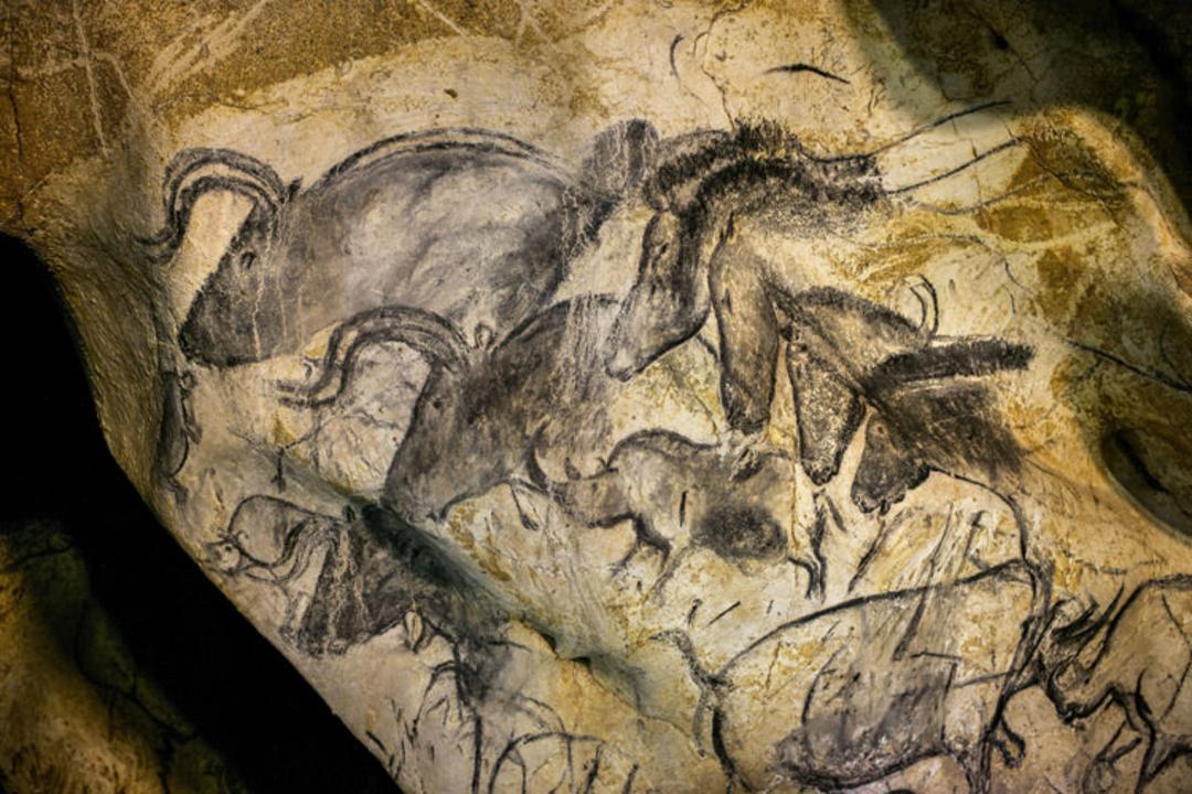 2015-09-w1-s1-chauvet-a-201406245588