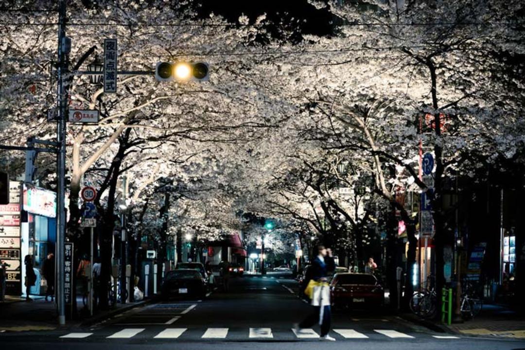 streets-in-night-japan
