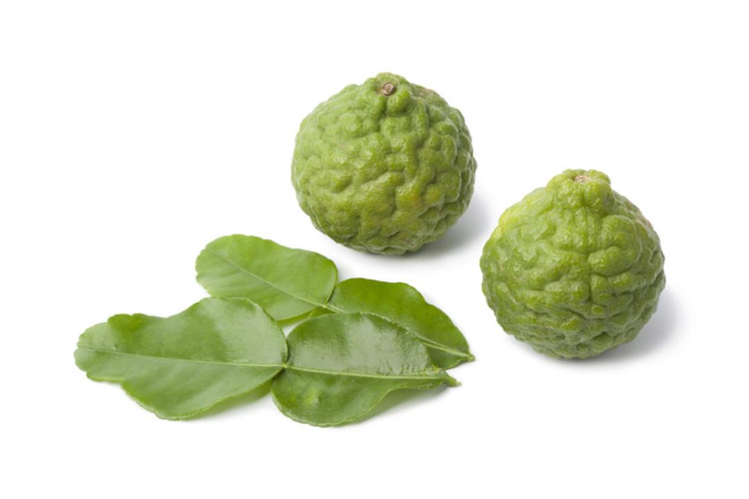 2015-10-050-lime-kaffir-dwarf