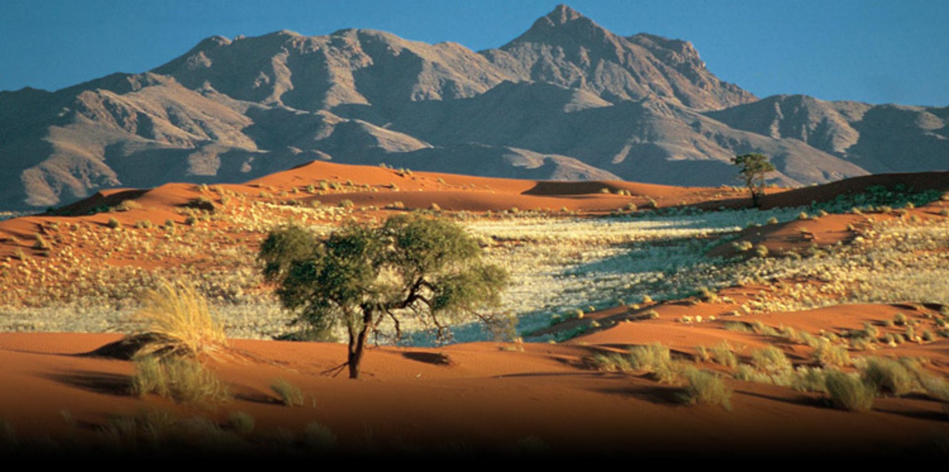 نامیبیا 1