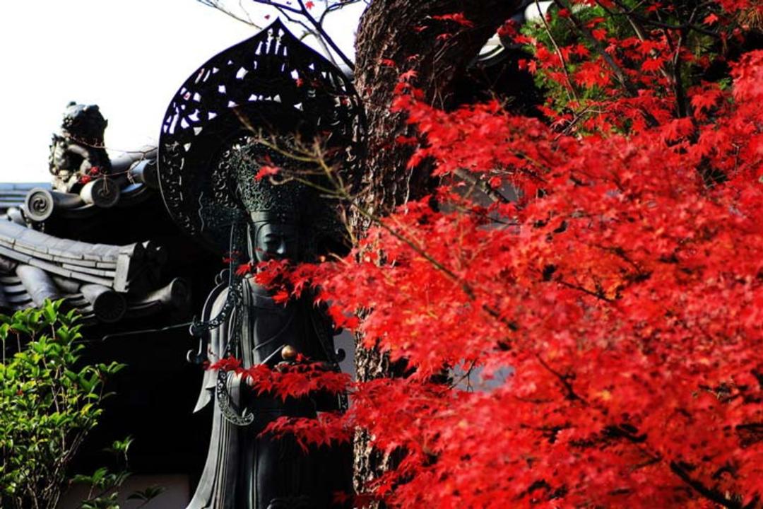 colorful-seasons-japan