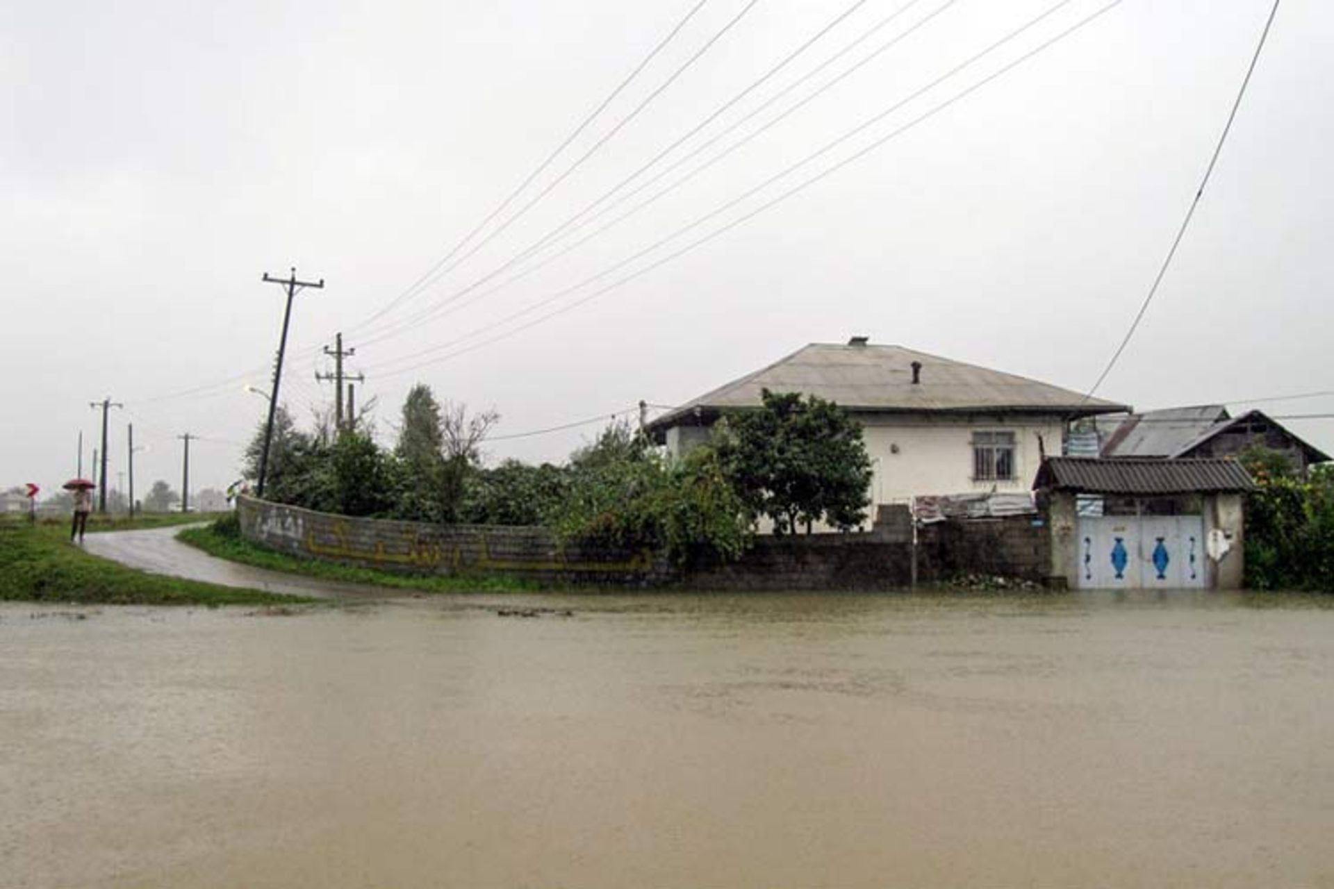 2015-10-1445103929147_reza-aghajani-1