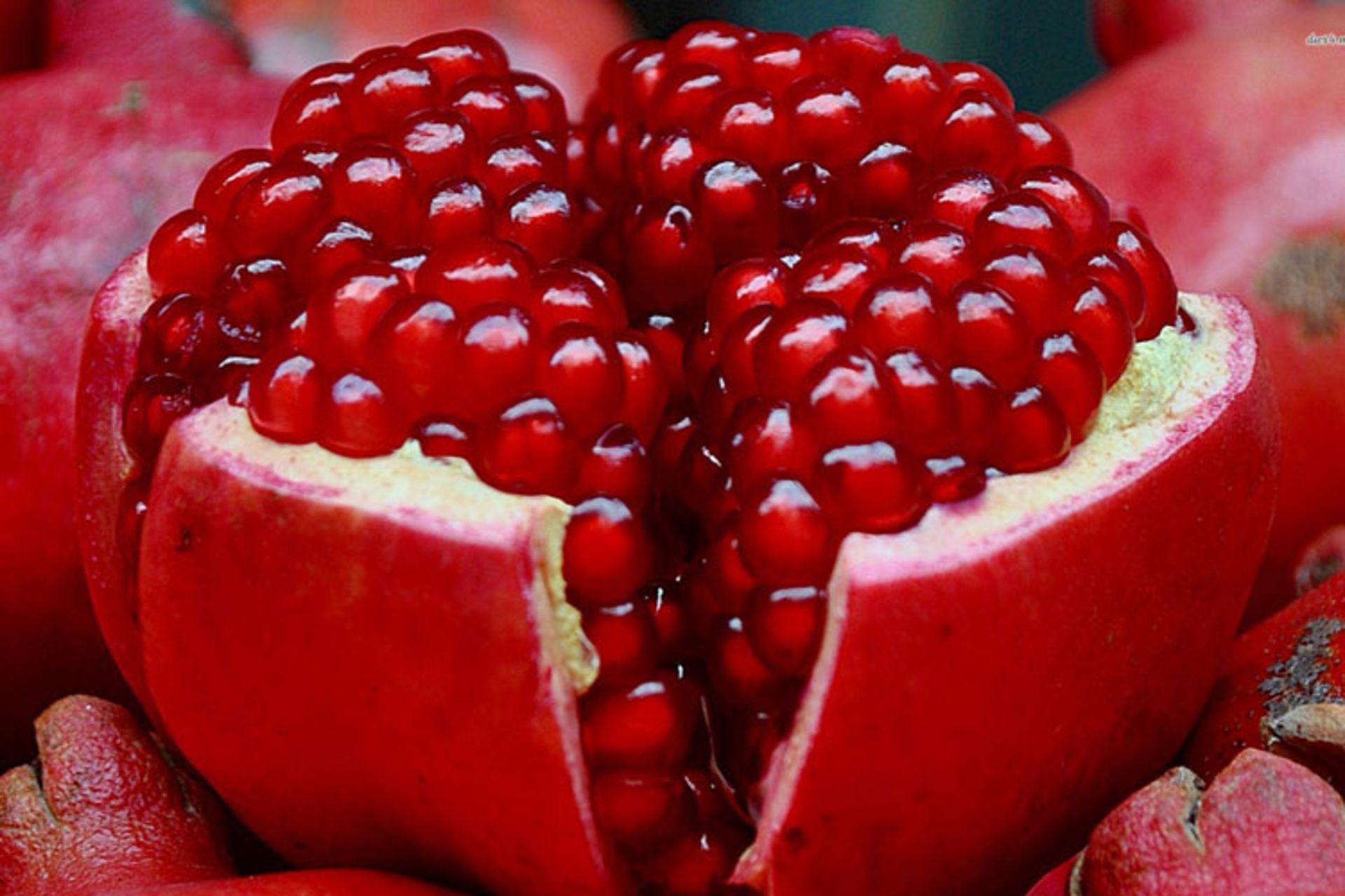2015-10-15812-pomegranate-1920x1200-photography-wallpaper546546