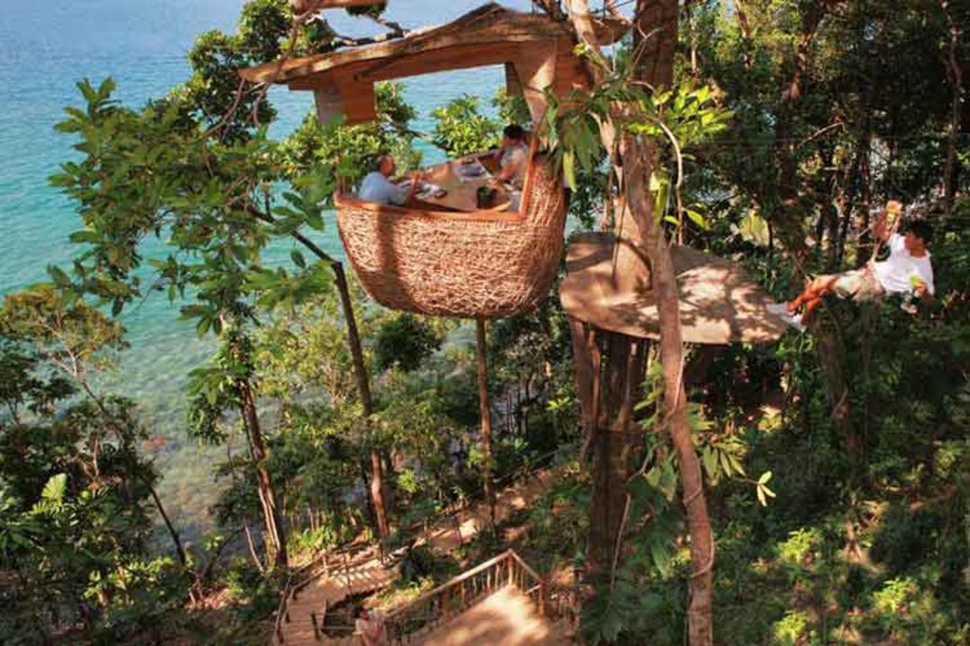 رستوران Treepod - کوه‌کود، بانکوک