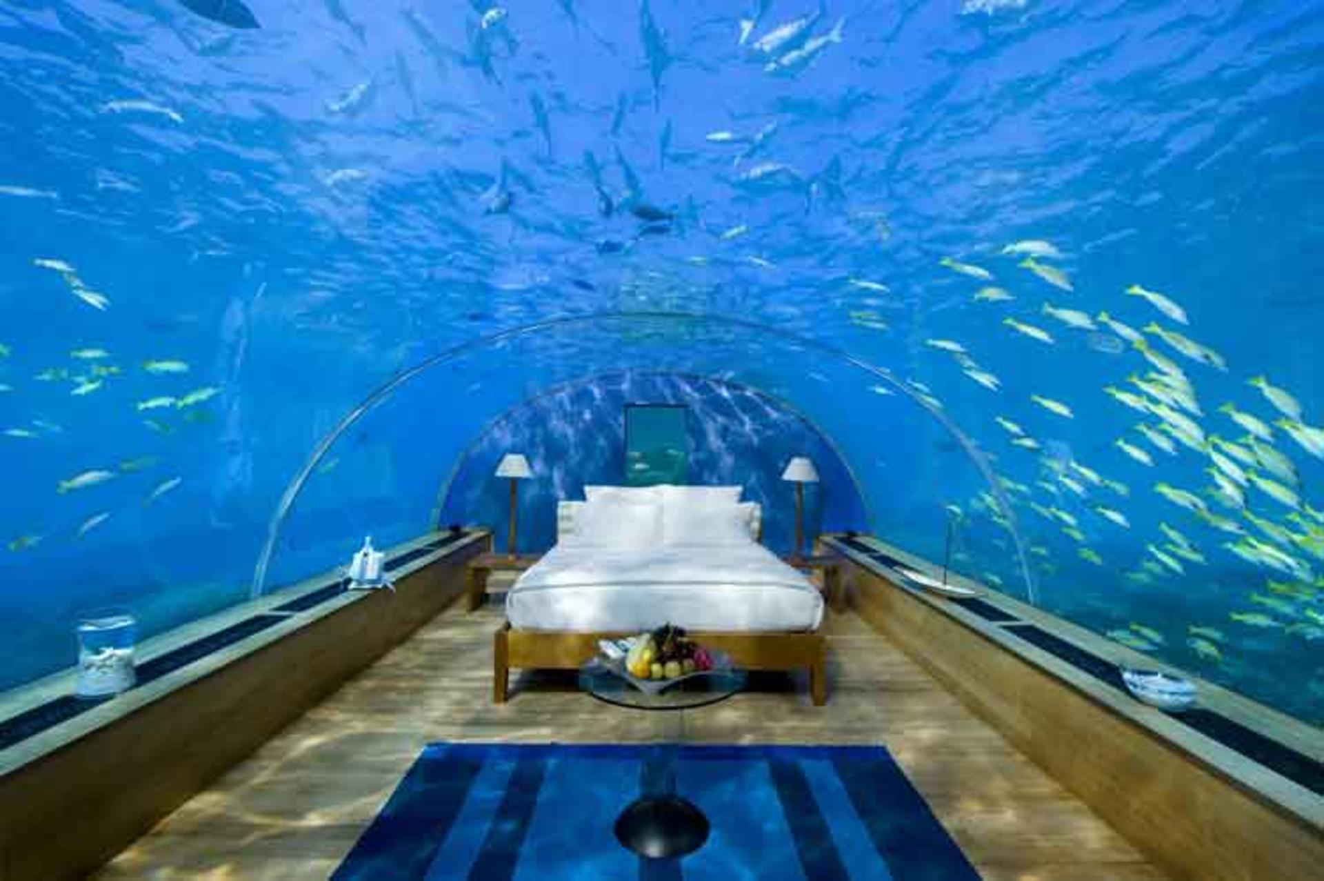 Exotic Hotels