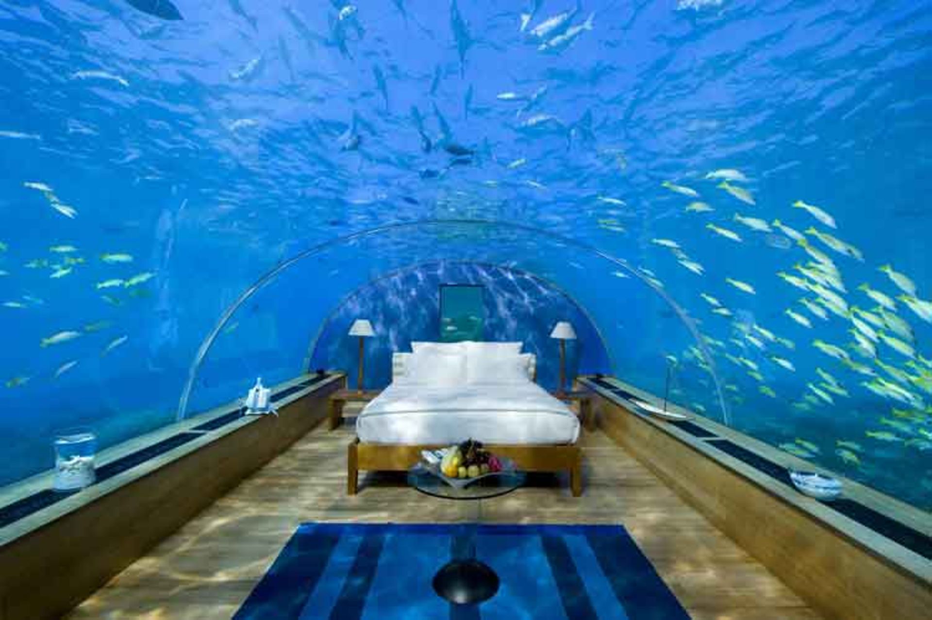 Exotic Hotels