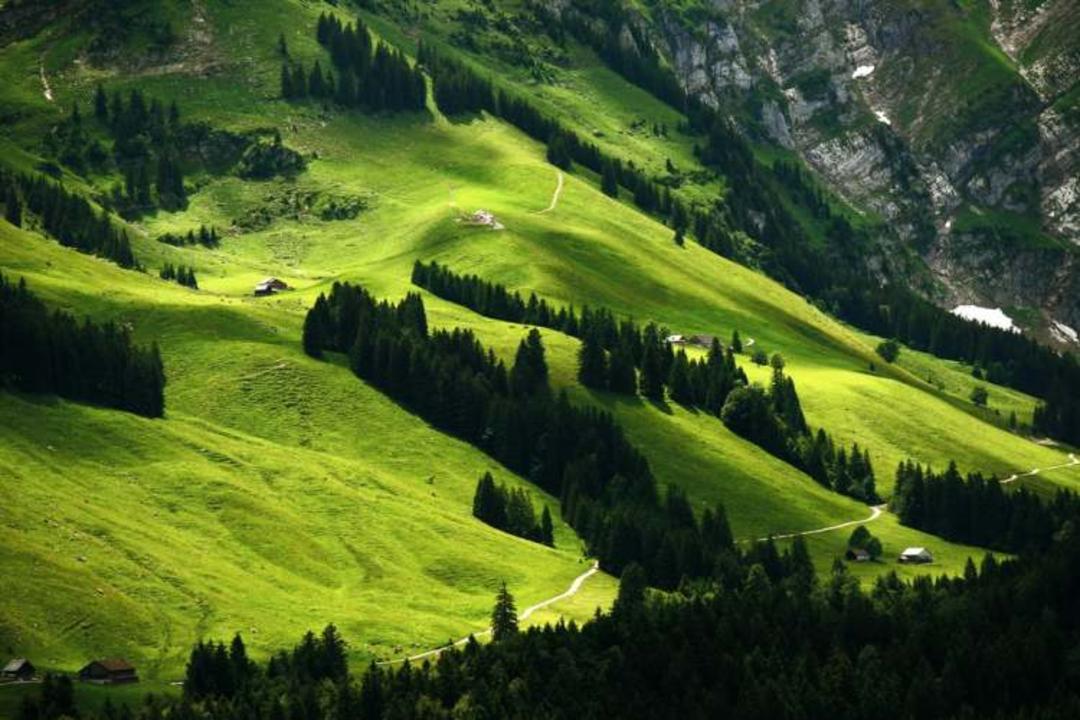 سوئیس