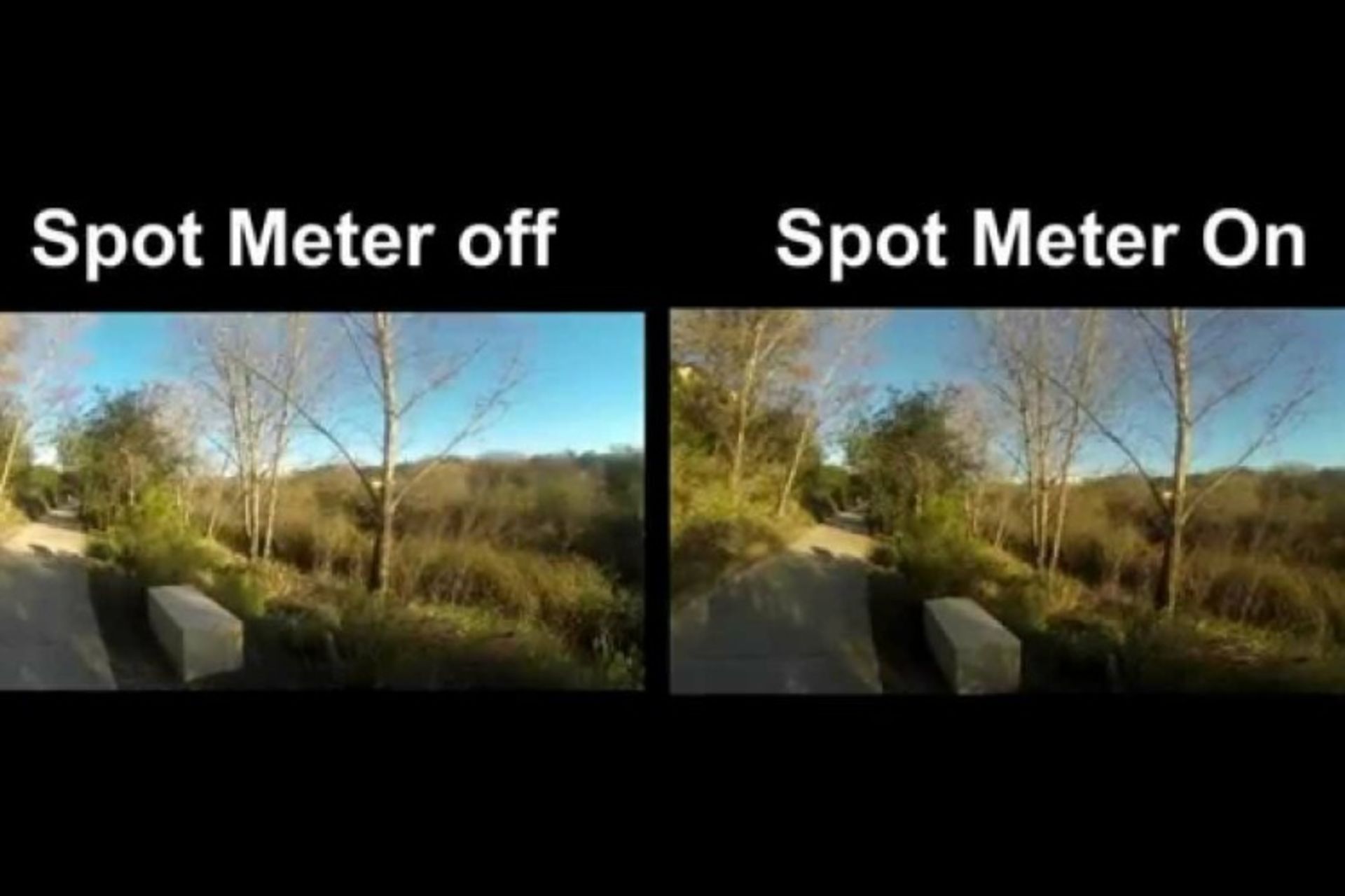 ۳. نورسنجی نقطه‌ای (Spot metering)