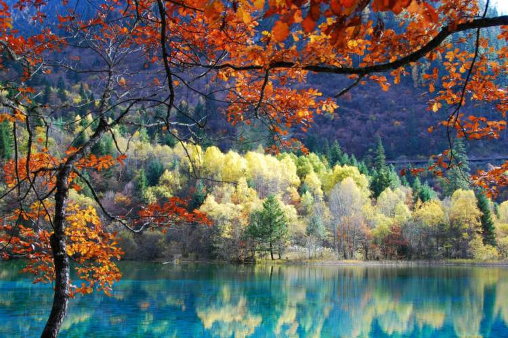. دریاچه‌ی پنج گل (Five Flower Lake)، چین