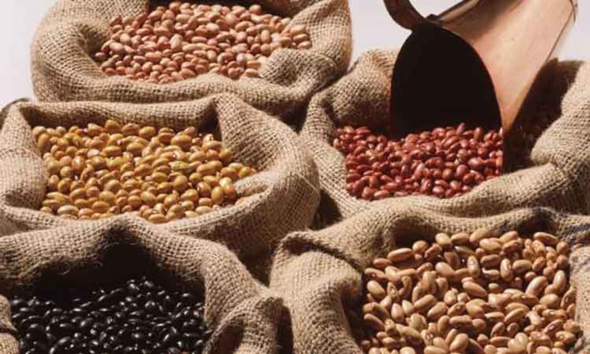 Beans