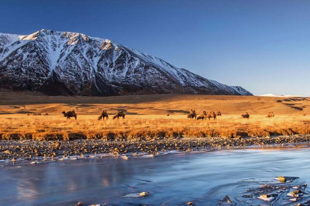 پارک ملی Altai Tavan Bogd، مغولستان