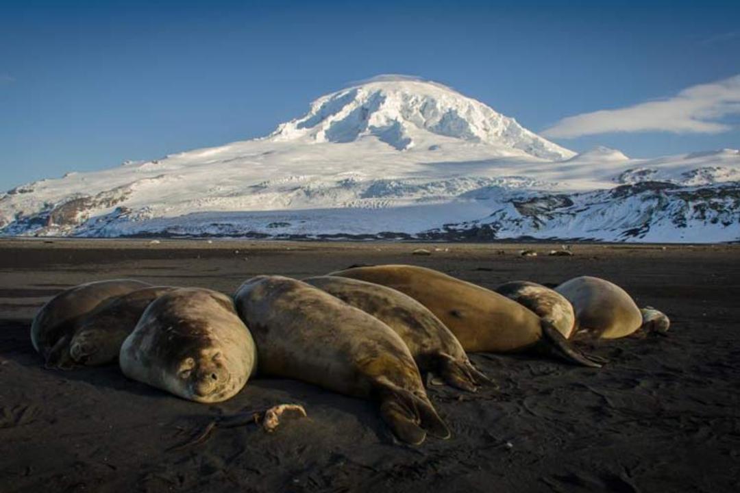2015-10-antarctic