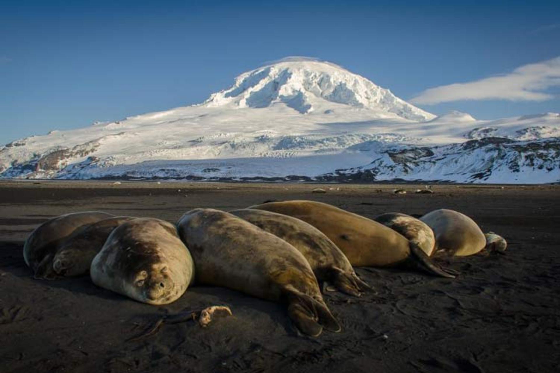 2015-10-antarctic