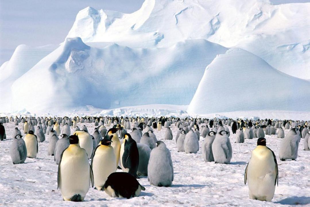 2015-10-antarctica2