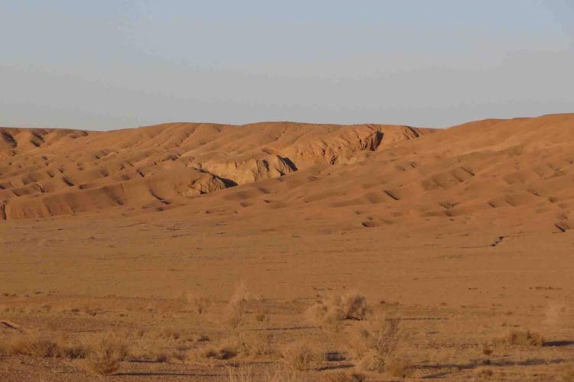 2015-10-desert12