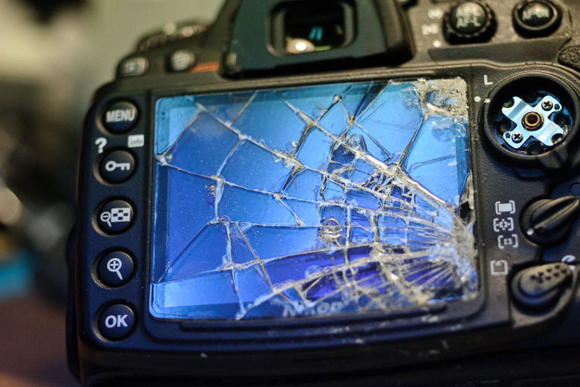 16 photography facts