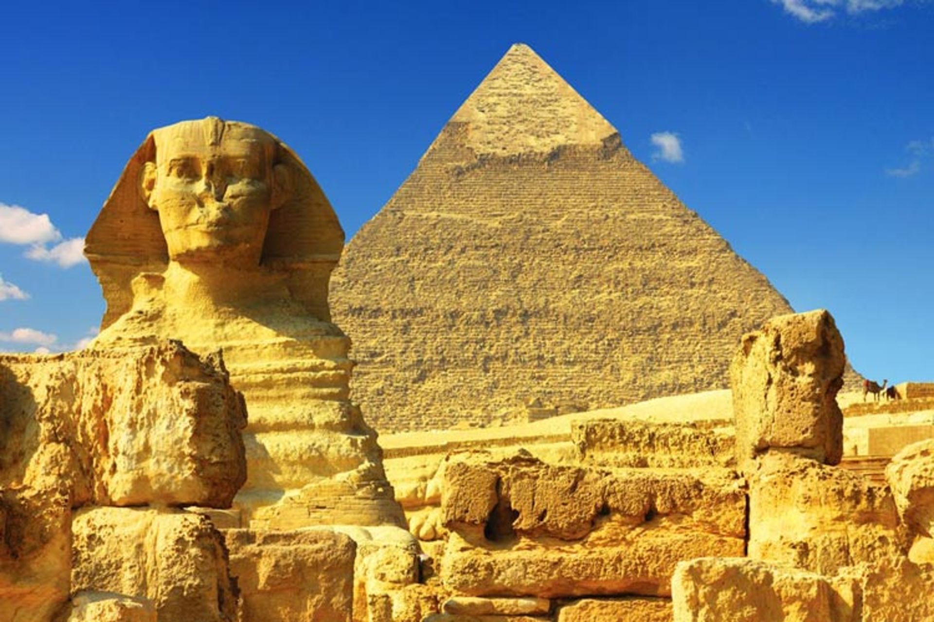 مصر