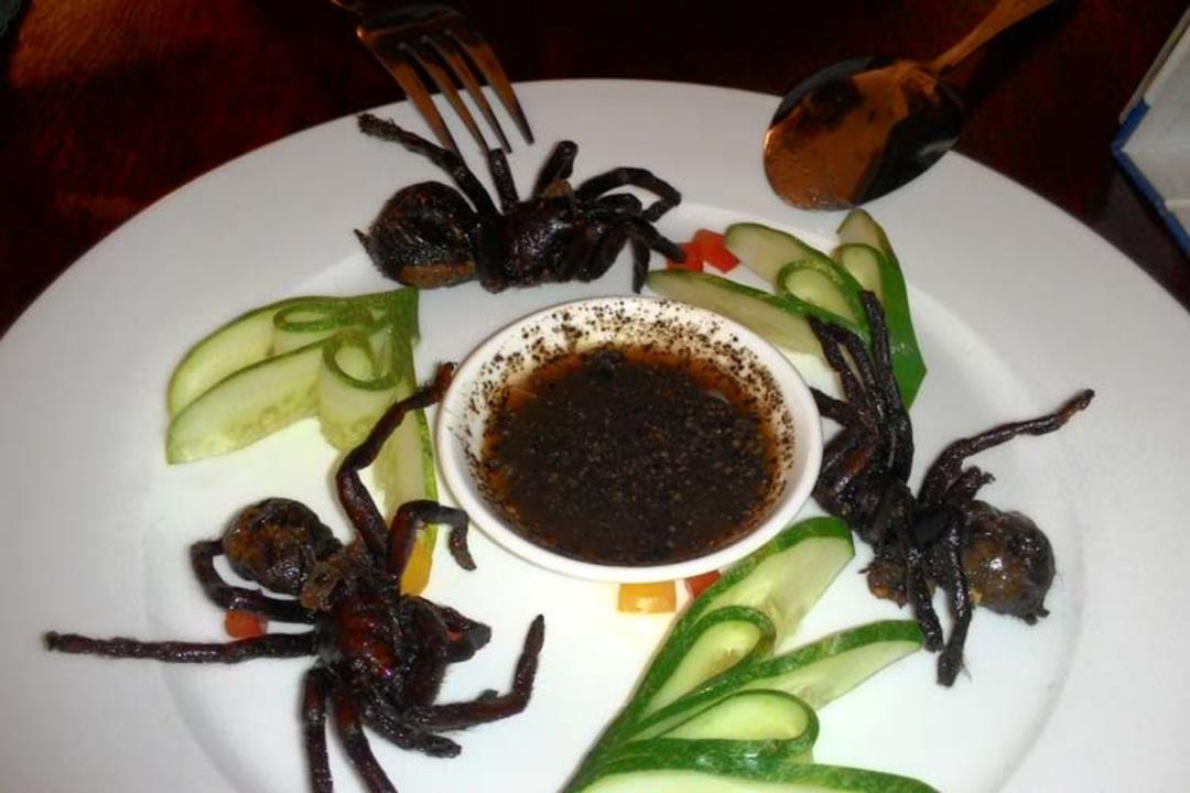 عنکبوت سوخاری