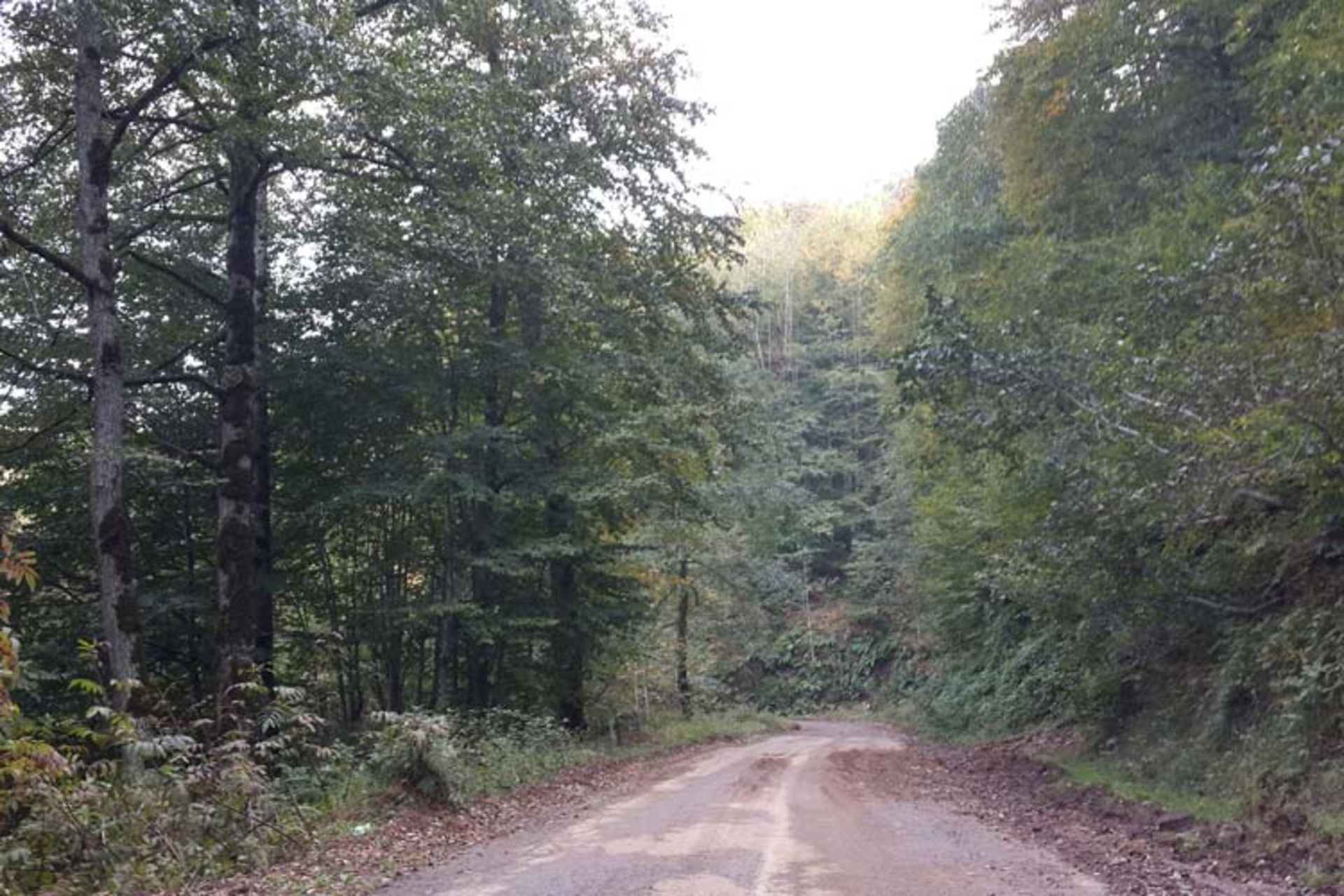2015-10-haloudasht-khasibdasht-20
