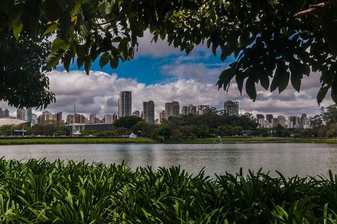 2015-10-ibirapuera-park-5