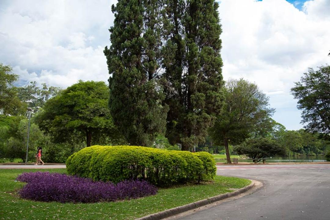 2015-10-ibirapuera-park-6