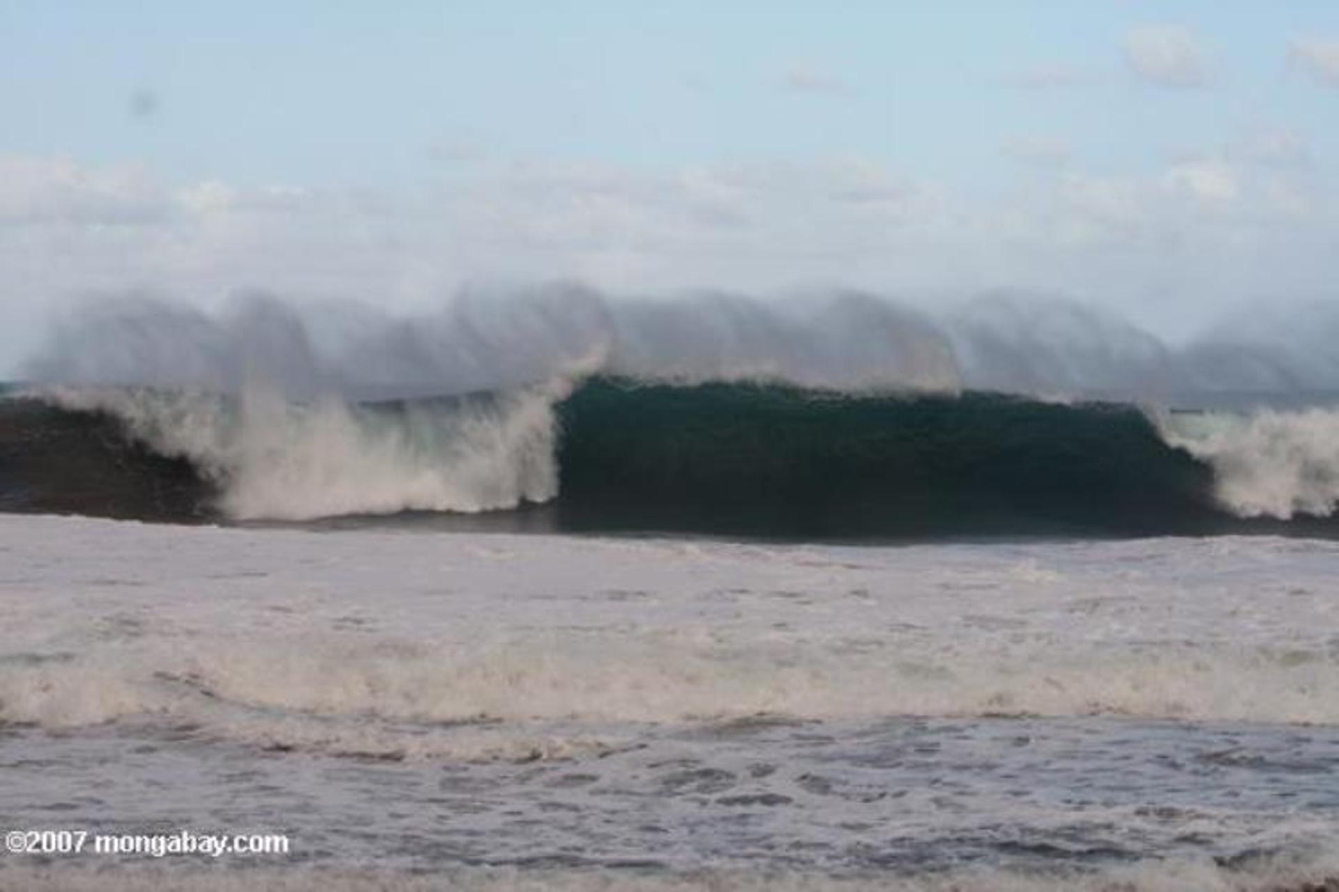 2015-10-kauai_4357