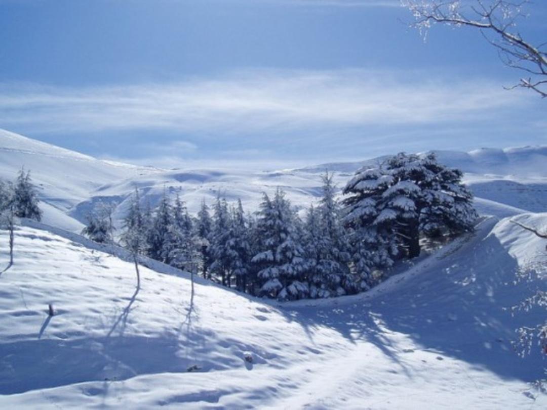 2015-10-leandroidsnow-e1337182176607