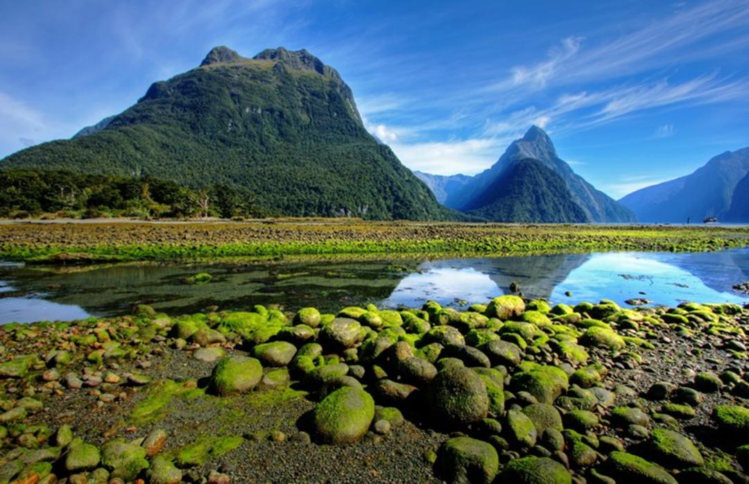 2015-10-new-zealand1