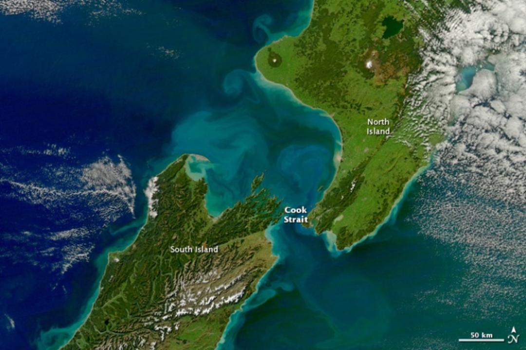 2015-10-newzealand_amo_20111191
