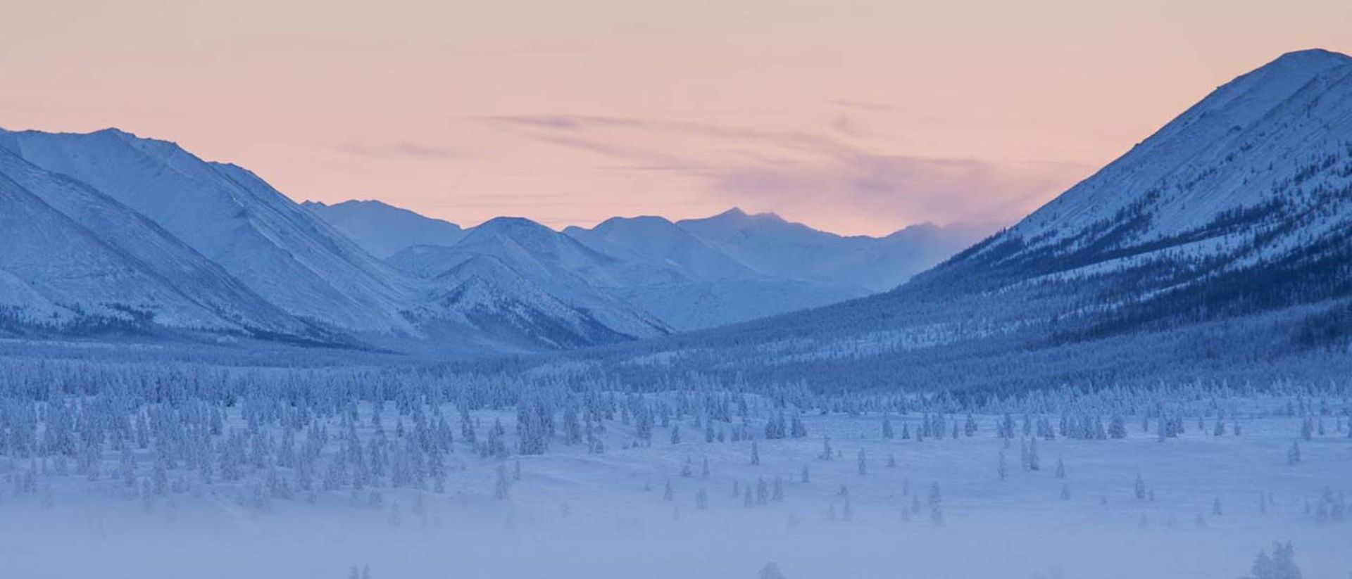 2015-10-oymyakon_forests