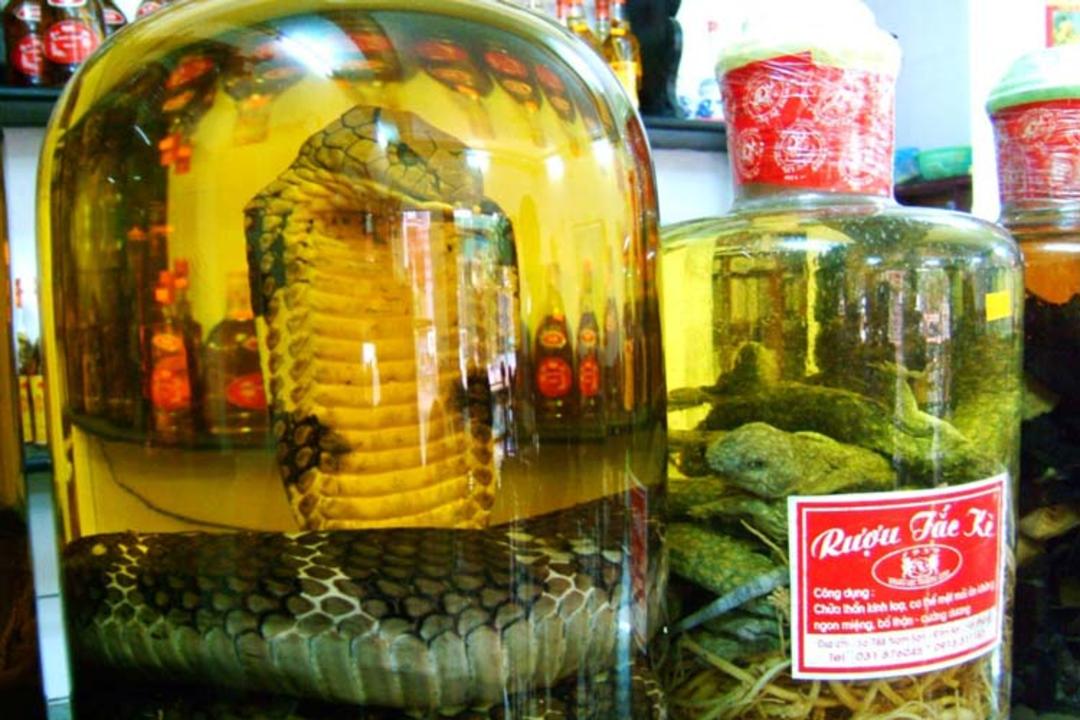نوشیدنی مار