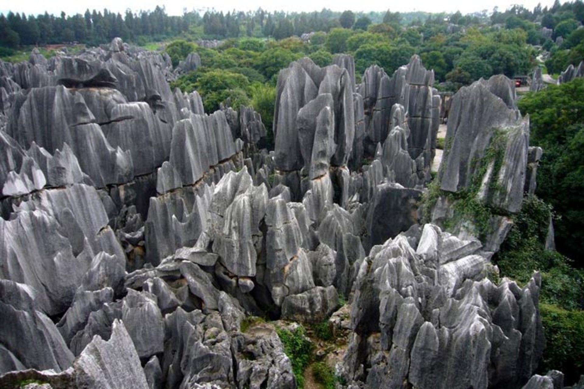 2015-10-stone_forest_of_shilin_attr_10