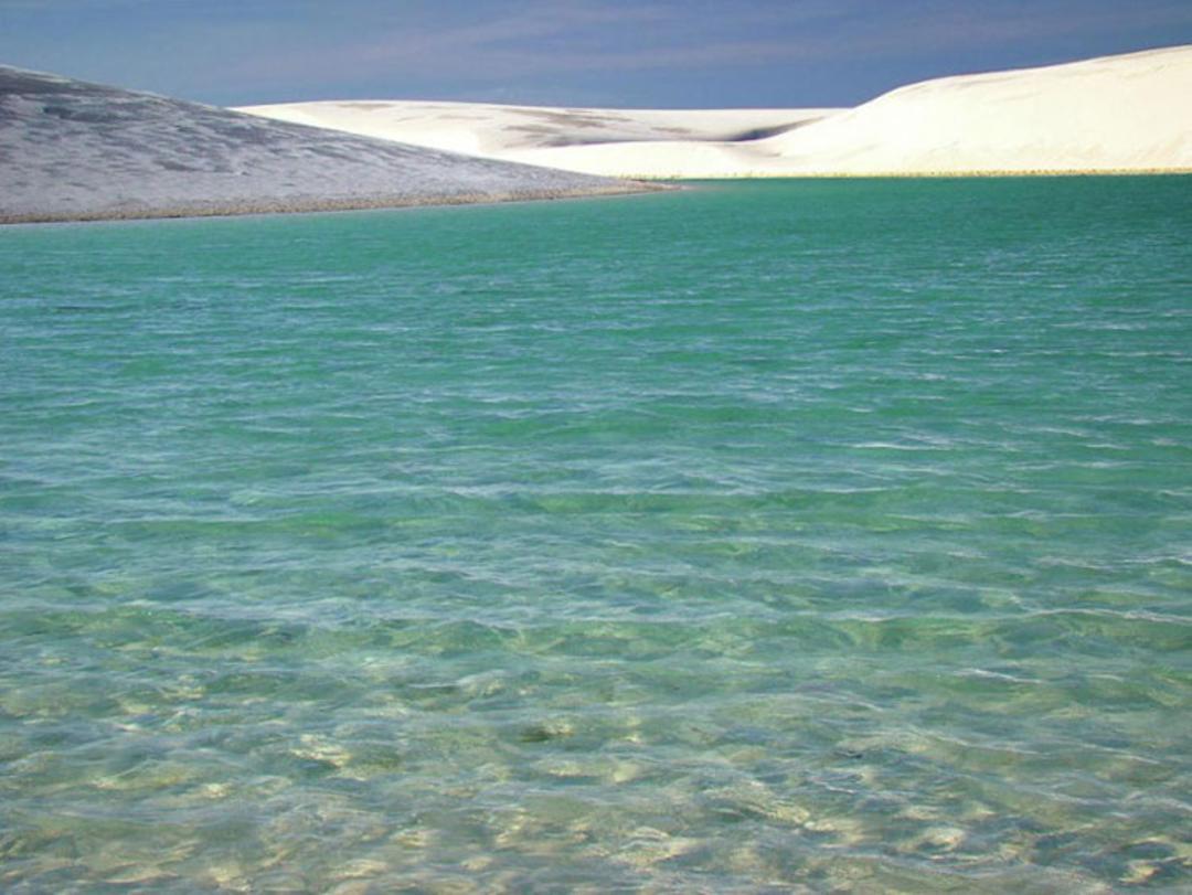 لینسویز مارانیِنسِس