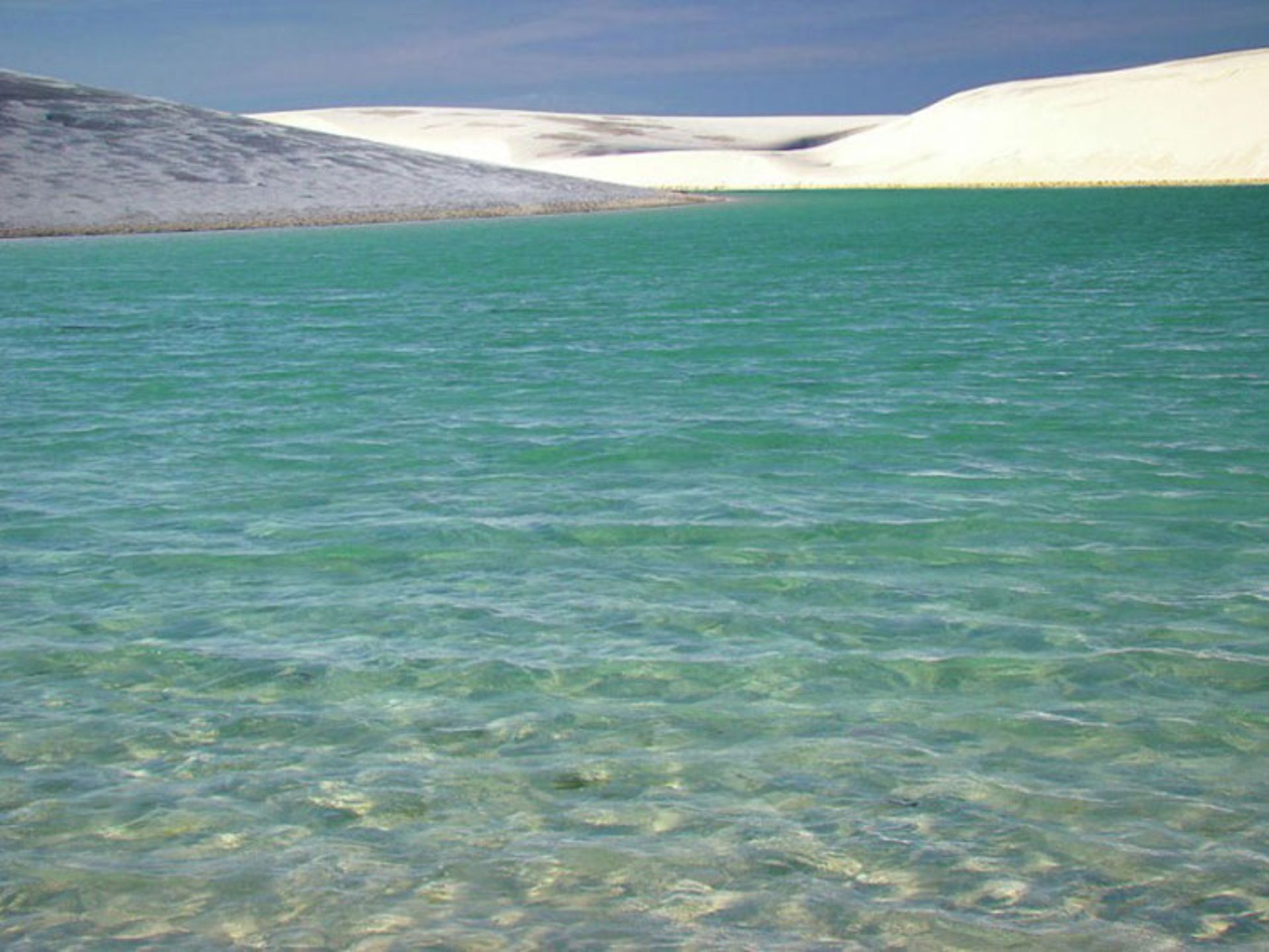 لینسویز مارانیِنسِس